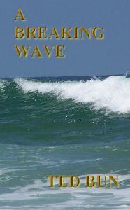 Cover for A Breaking Wave